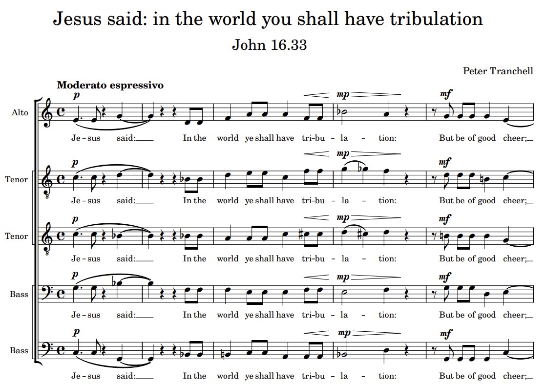 Preview image of Jesus said: In the world ye shall have tribulation by Peter Tranchell