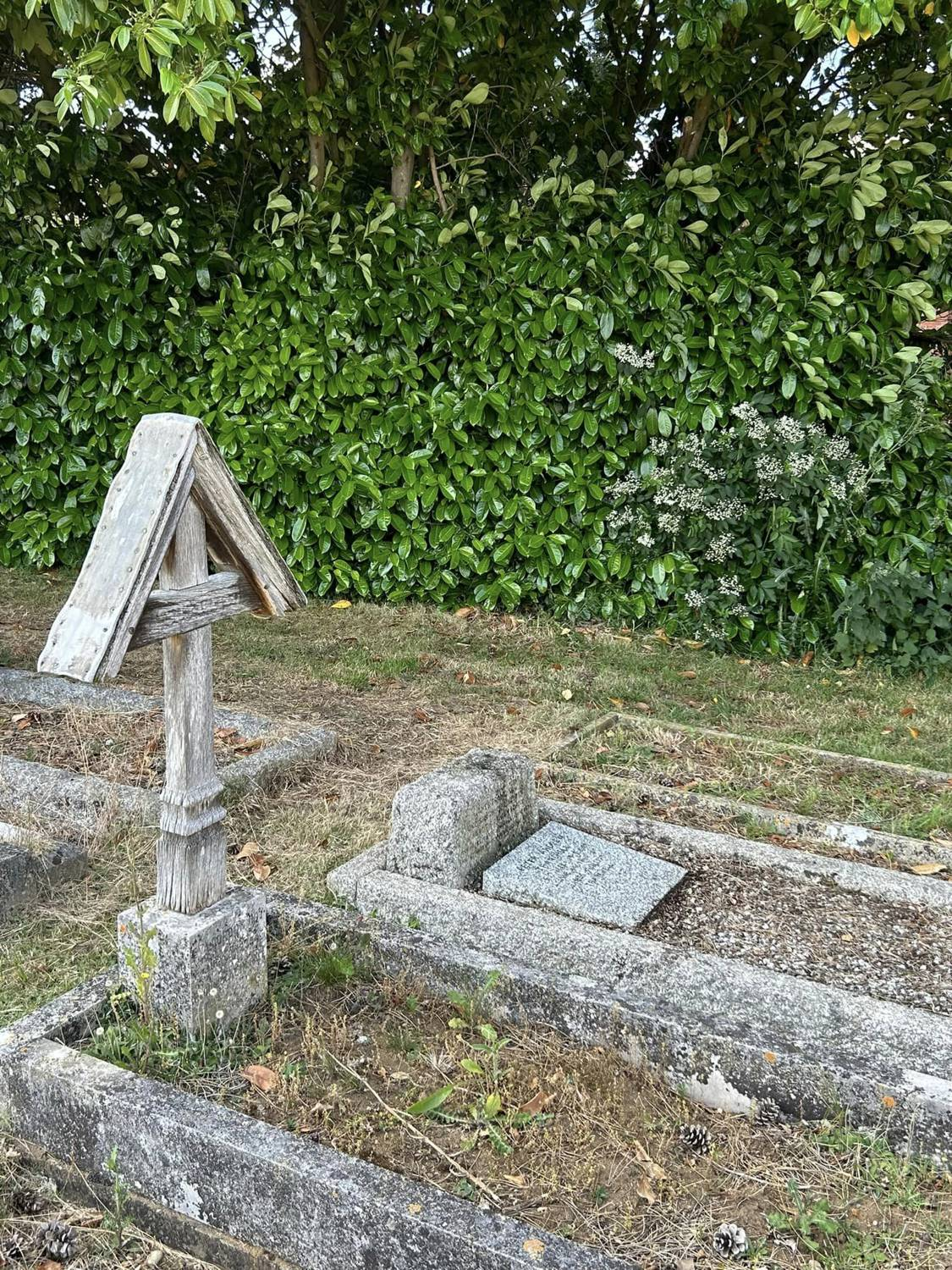 Peter Tranchell's grave