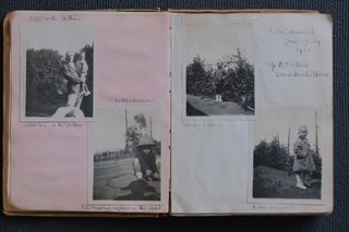 DSCF8564